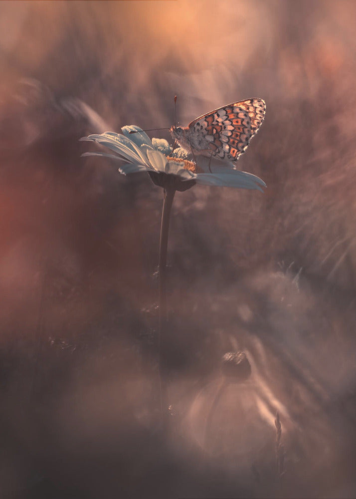 Pyrotechnics | Poster