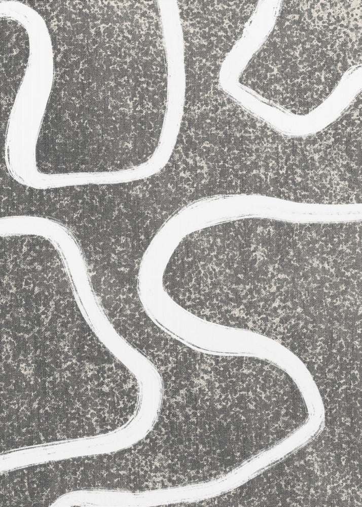 Curves in Contrast | Poster