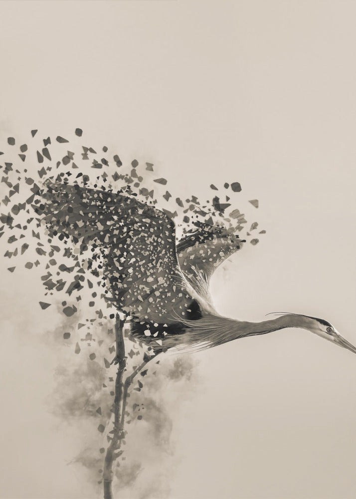 A Blue Heron | Poster