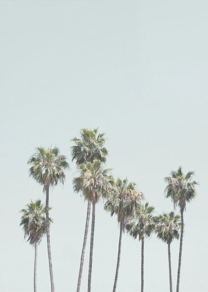 Blue Palm Trees | Canvas