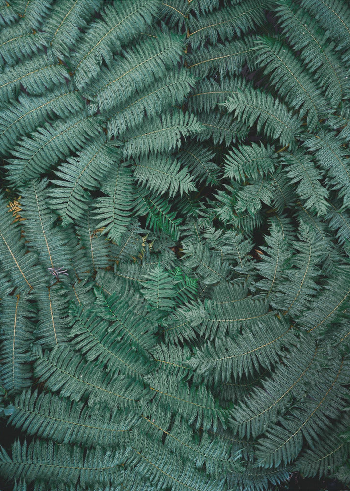 Green Leaves | Canvas
