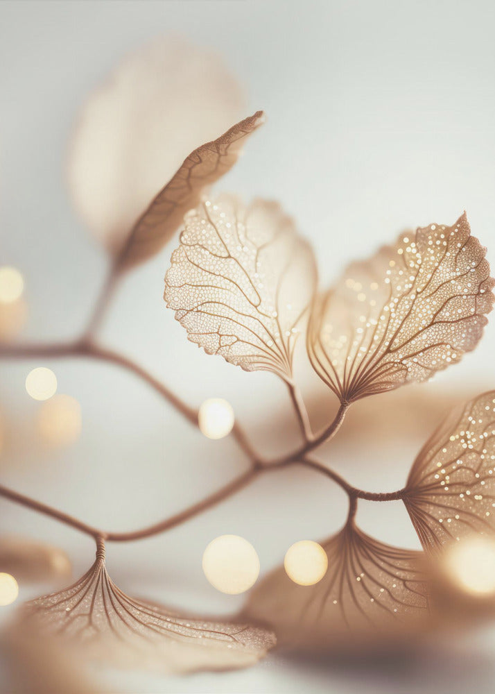 Fragile Elegance | Poster