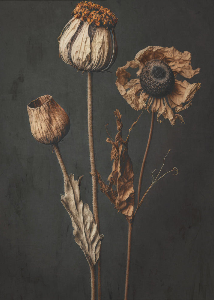 Withered Elegance | Canvas