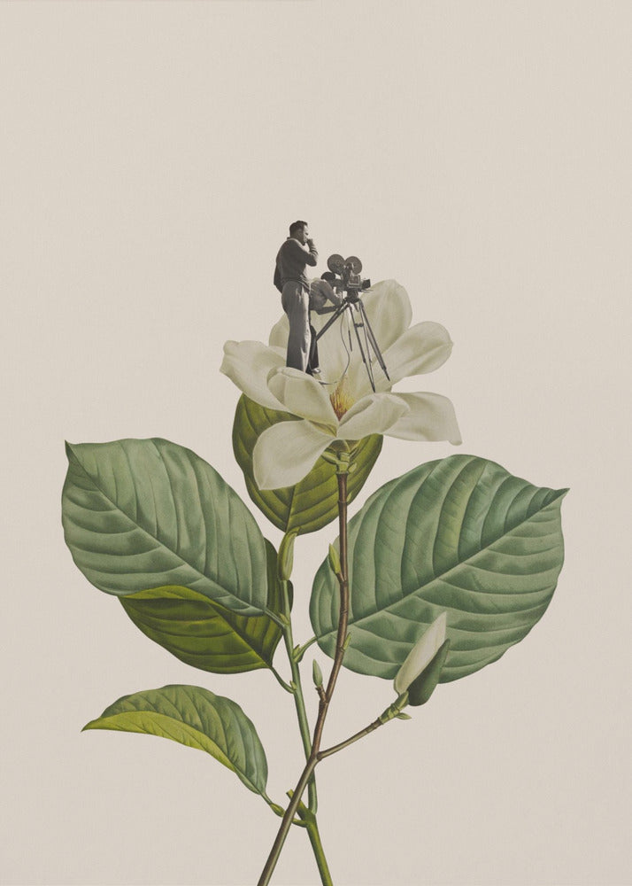 Botanical vintage cameraman | Poster