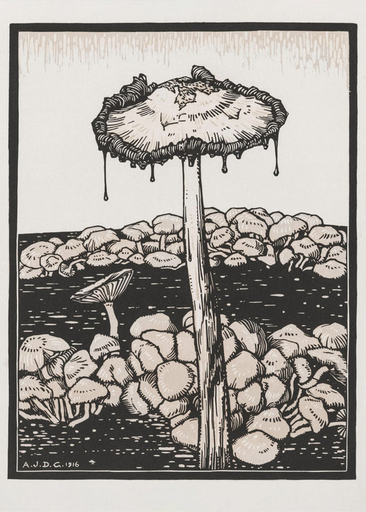 Dripping Mushroom 1916 | Poster