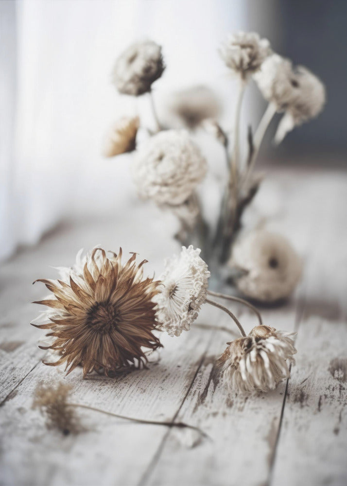 Nostalgic Blooms | Poster