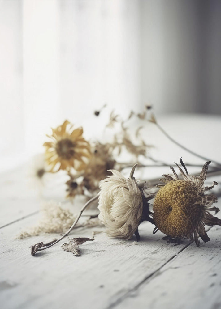 Faded Petals | Poster