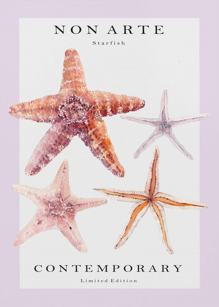 Non Arte Starfish | Canvas
