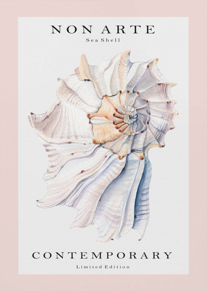 Non Arte Sea Shell no.1 | Canvas
