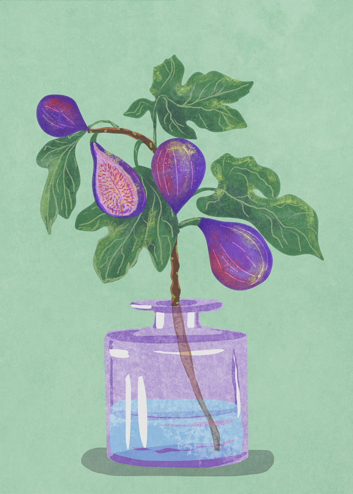 Figs Branch In Vase | Canvas
