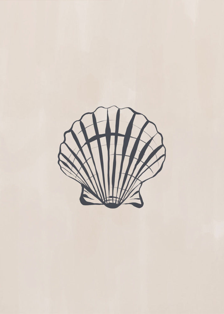 Seashell | Poster