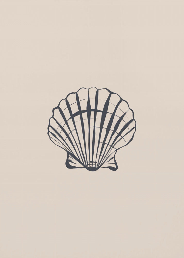 Seashell | Canvas