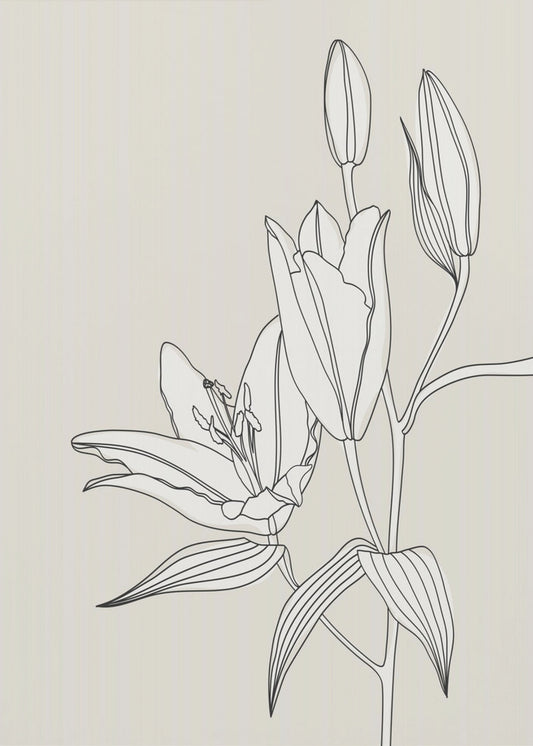 Line art lillies in beige | Poster