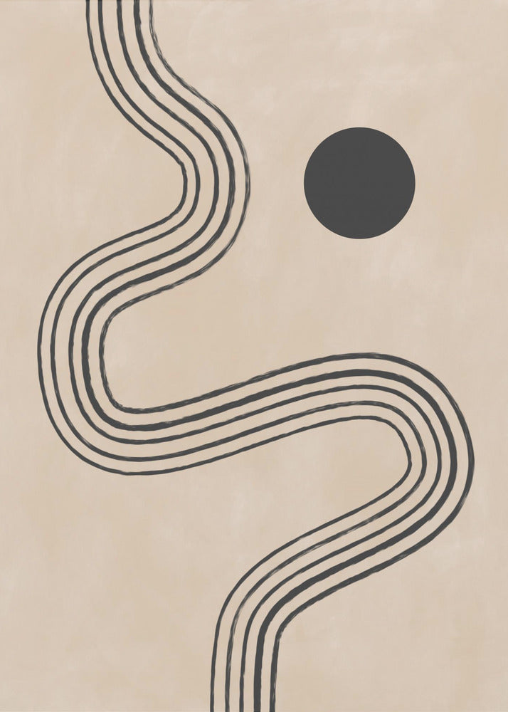 Curves and Sphere | Poster