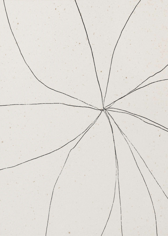 Cracked Symmetry | Canvas