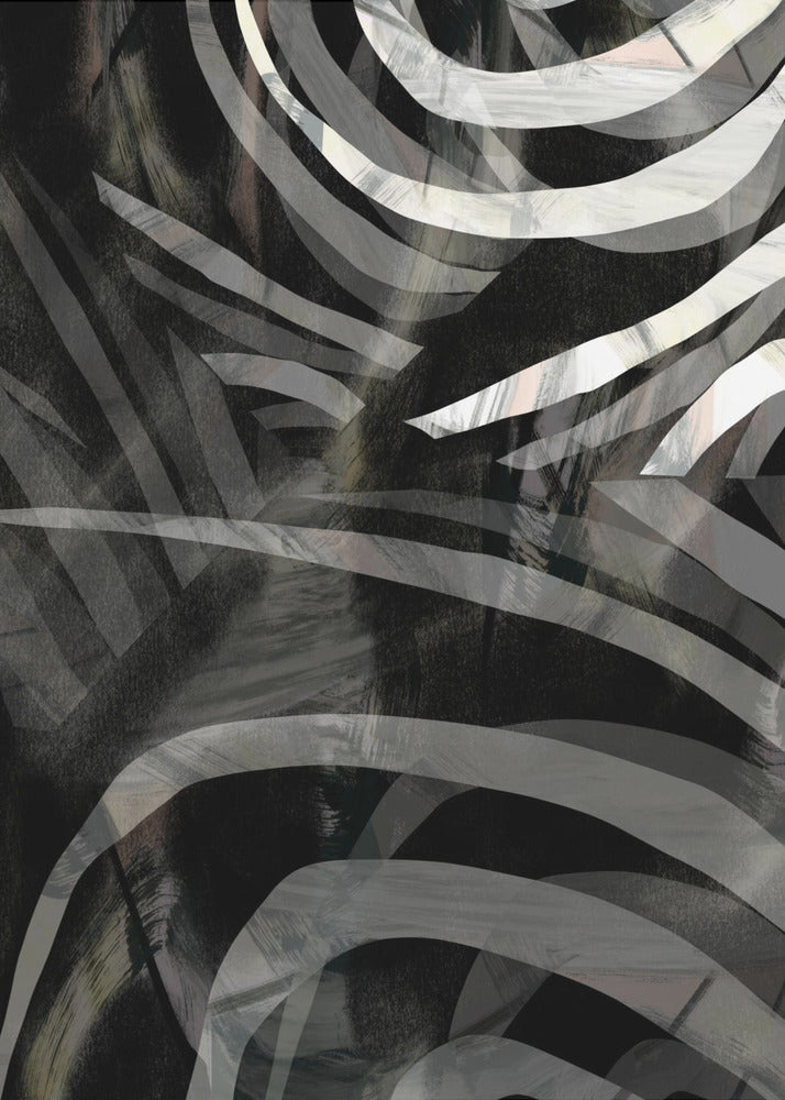 Cartissi Millionaire's Wrap 3 | Poster