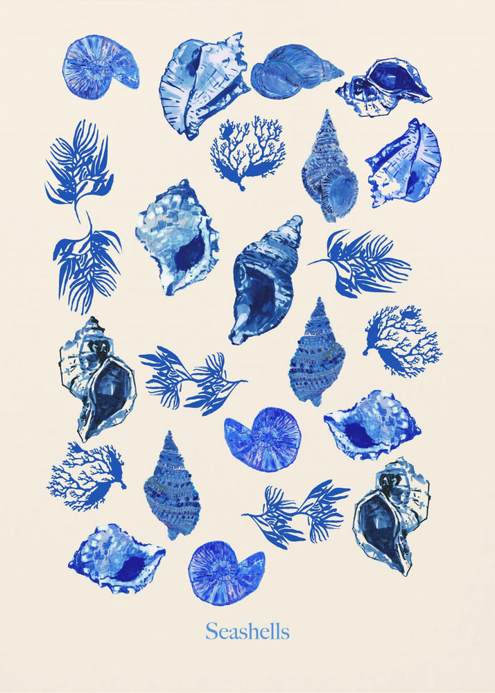 Seashells Poster | Poster