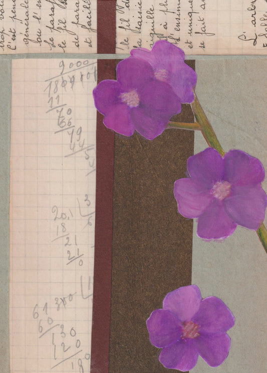 Pink Flowers | Poster