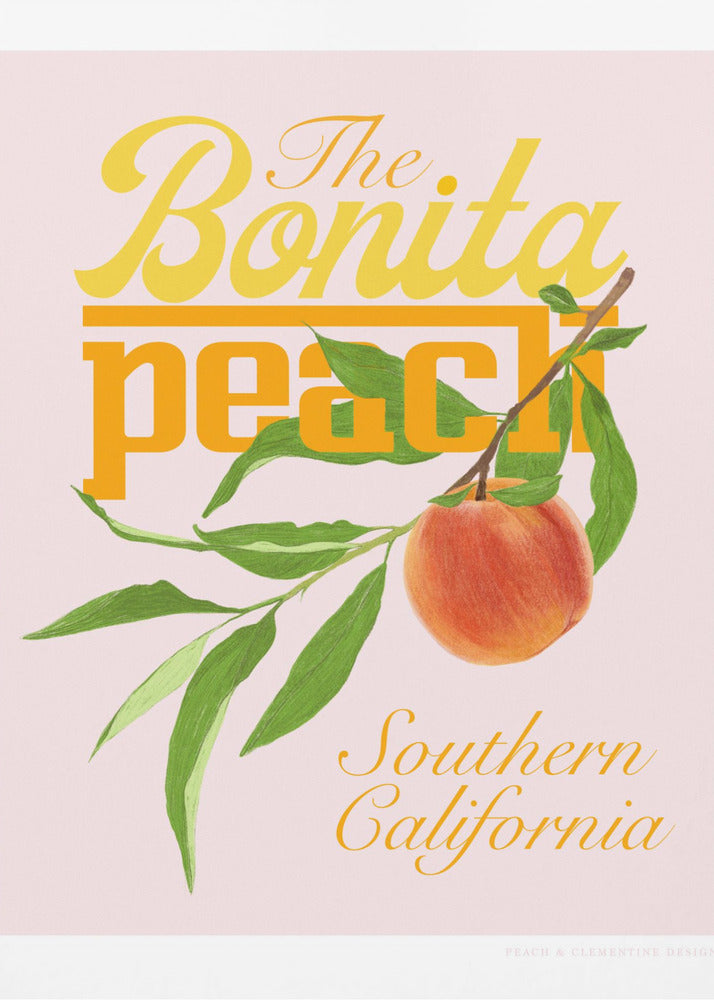 Pandcbonitapeach Copy | Poster