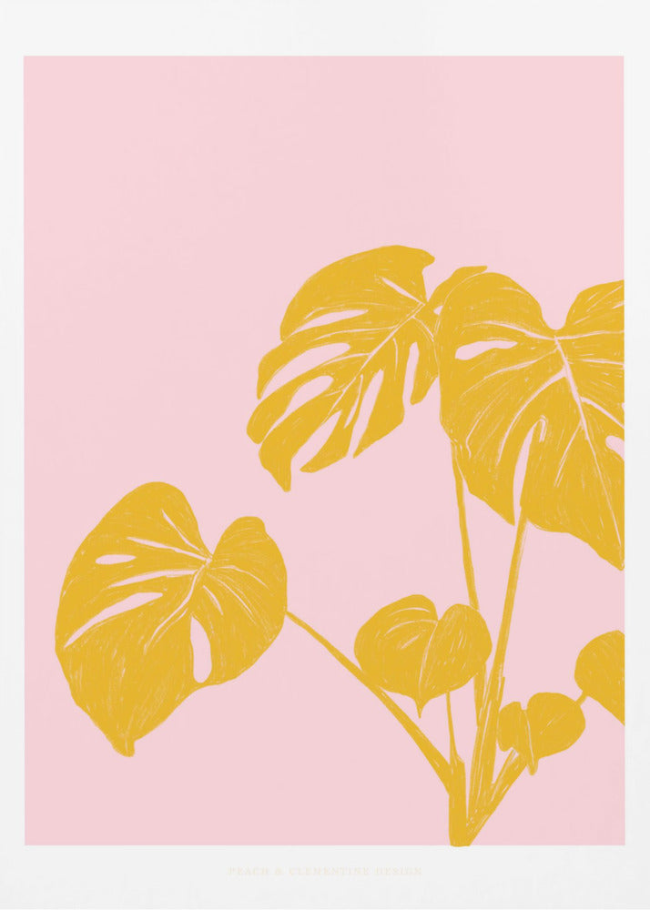 Pandc Houseplant Copy | Canvas