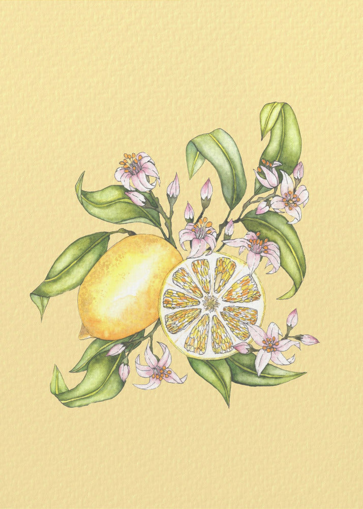 Lemon illustration | Canvas