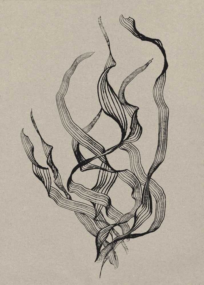 Delicate | Canvas