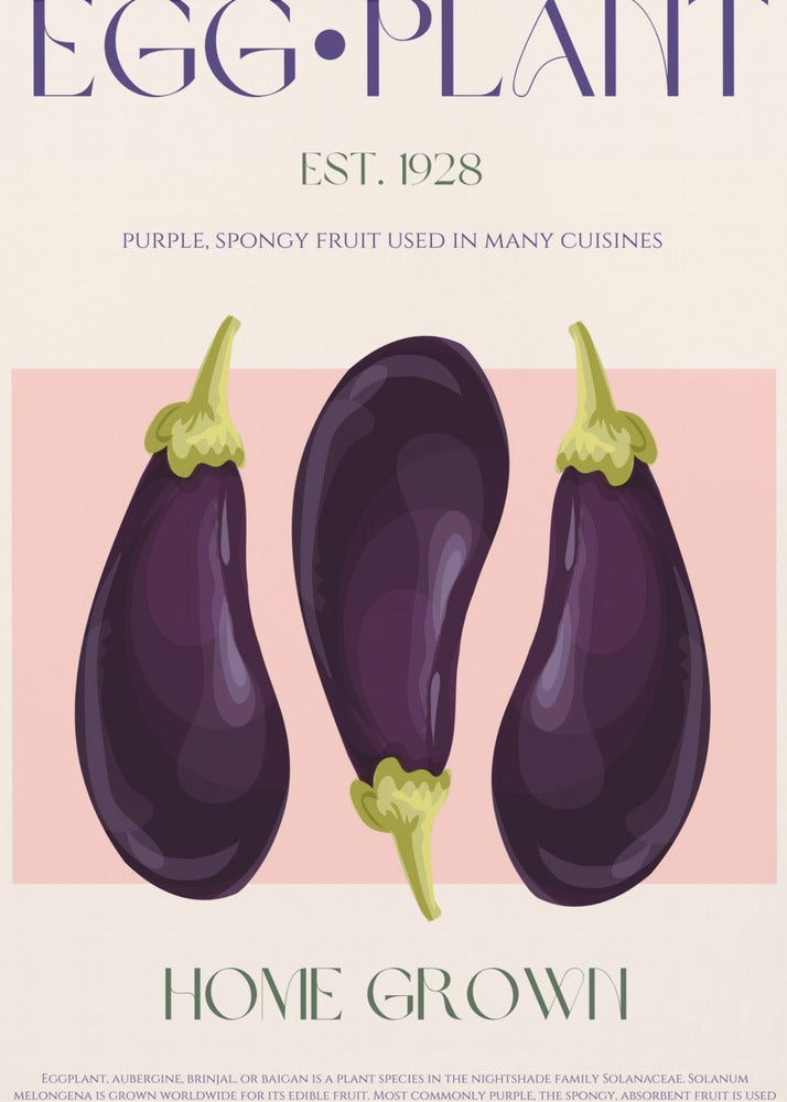 Three Vibrant Purple Eggplants | Poster