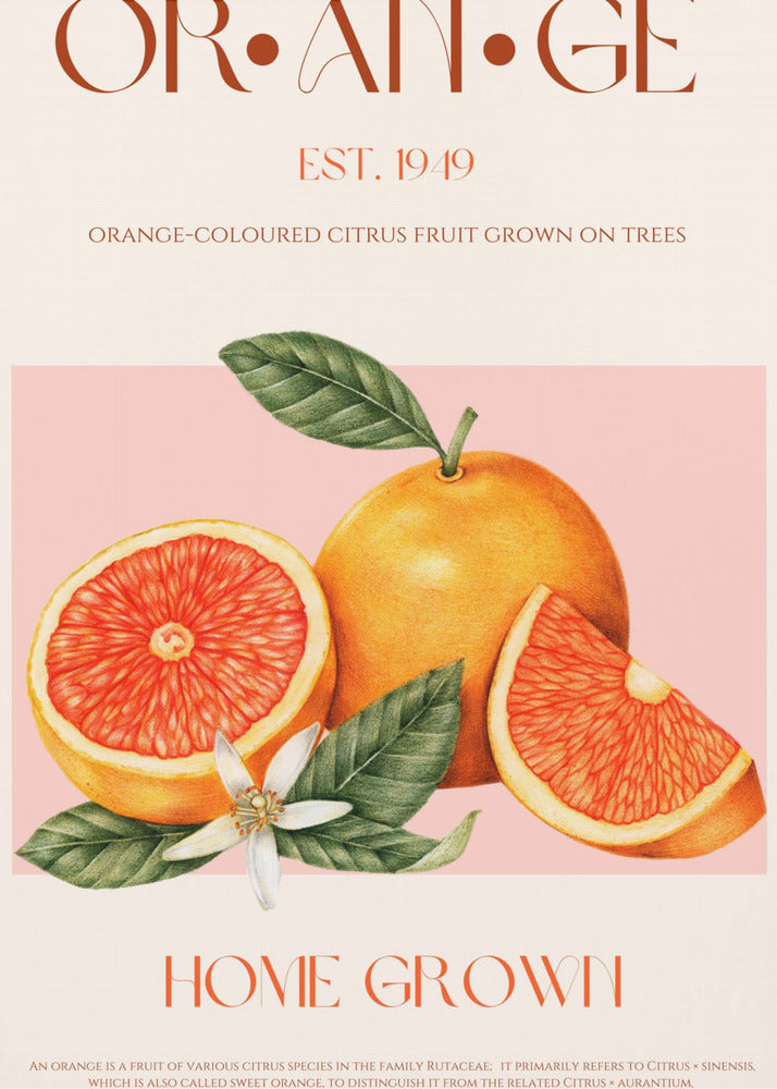 Vintage-themed With Vibrant Oranges | Poster