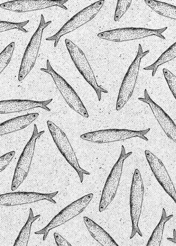 Sardine Fish Pattern | Canvas