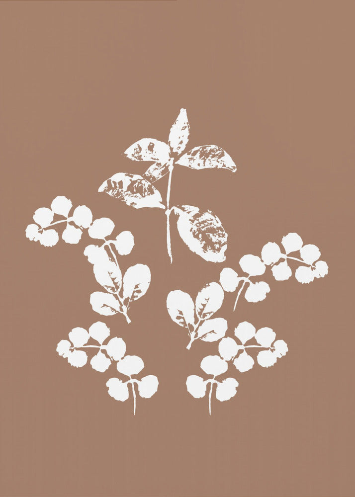 Botanical Elegance | Poster