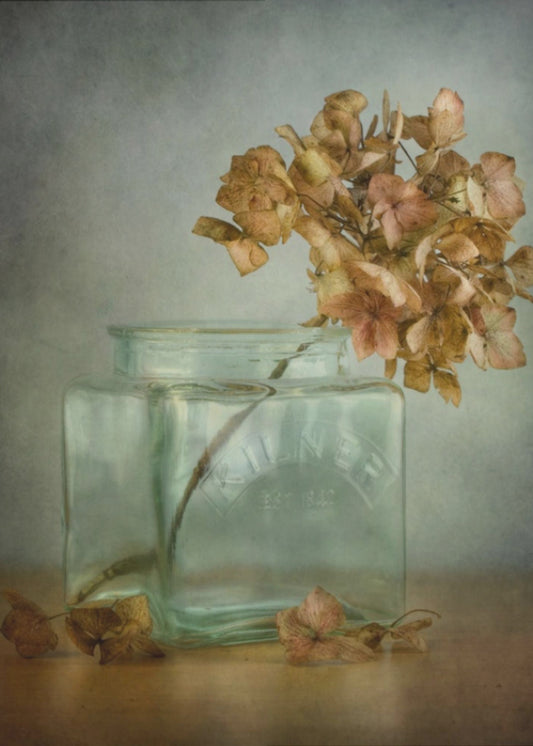 Hydrangea | Poster